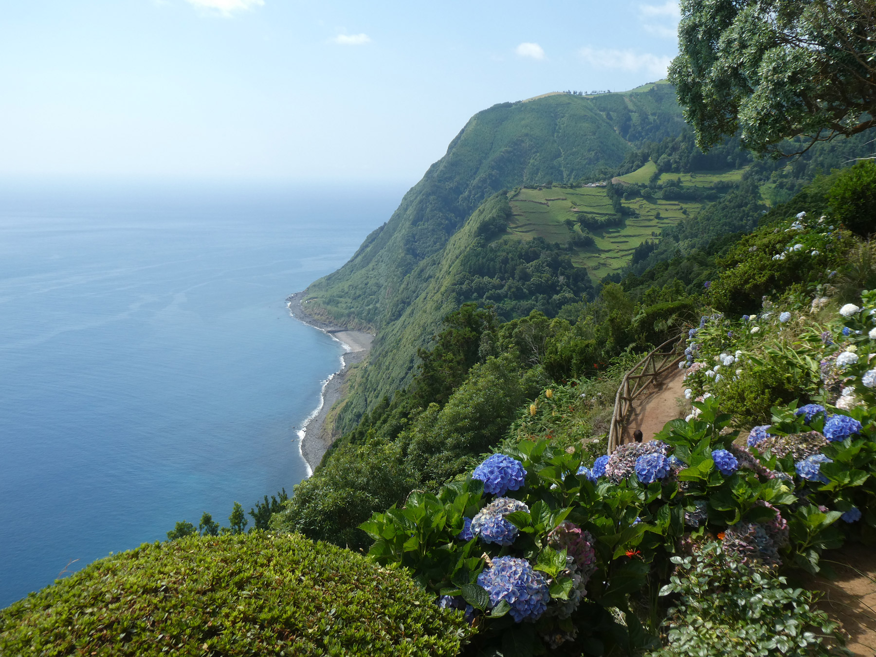 Image montrant une falaise des Açores